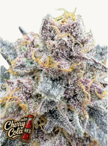 Cherry Cola Auto RF3