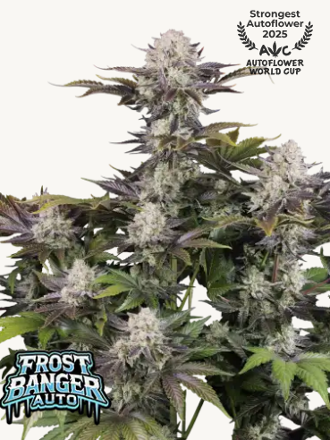 Frostbanger F4 Automatic